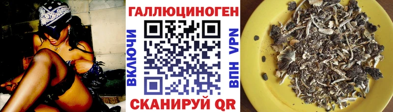 Псилоцибиновые грибы MAGIC MUSHROOMS  Починок 